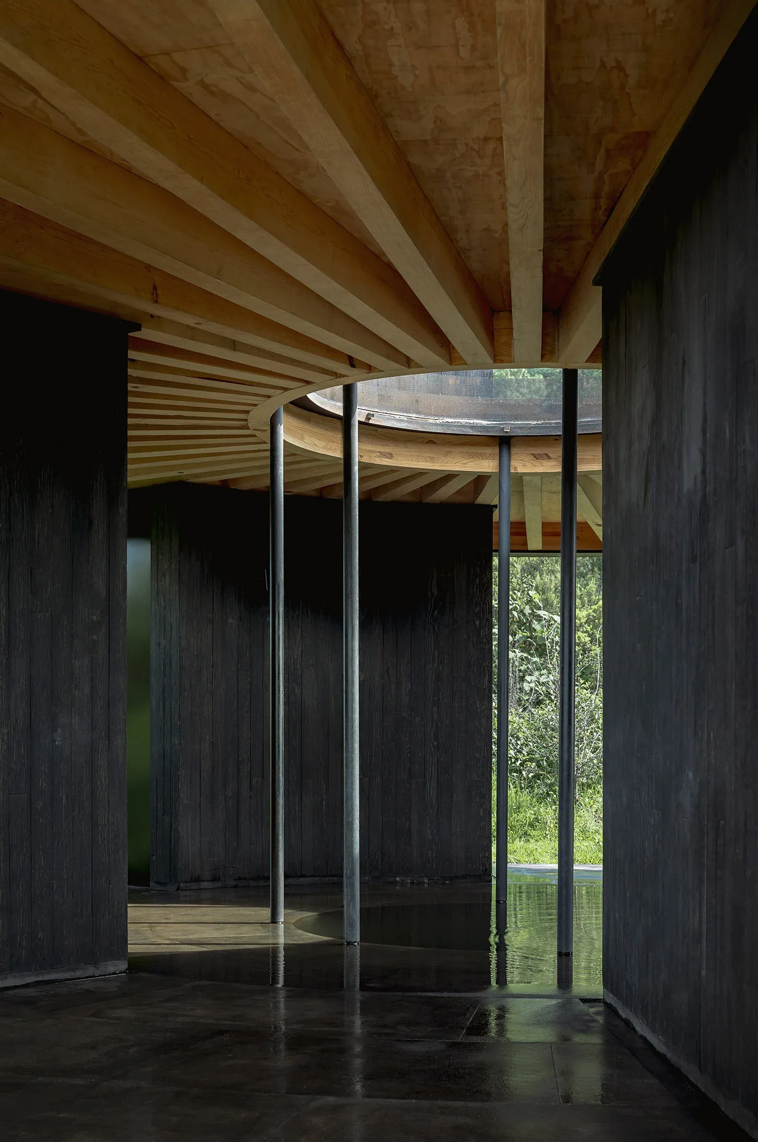 WELLNESS — sauna camının ardında bahçe, sabah